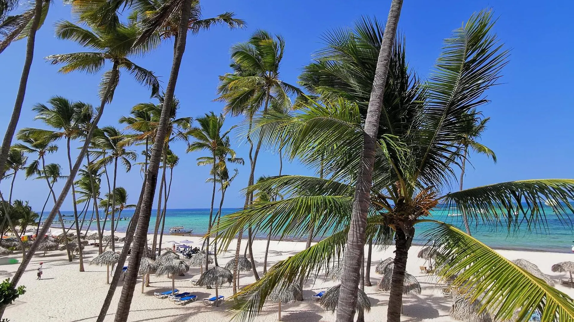 公寓式酒店 Caribbean Dream Suites With Rooftop Pool Playa Los Corales 蓬塔卡纳