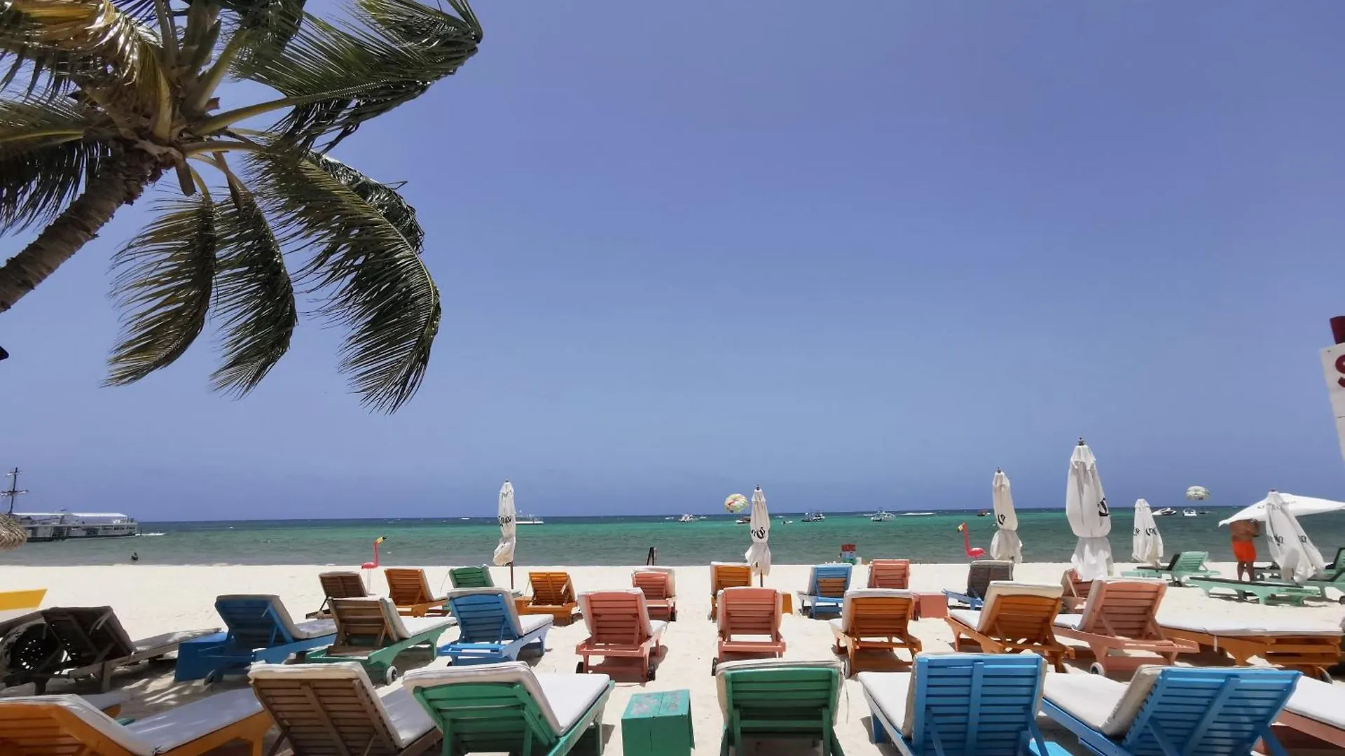 Apart Otel Caribbean Dream Suites With Rooftop Pool Playa Los Corales Punta Cana